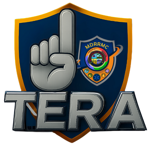 1TERA Logo